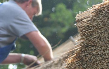 professional Portash thatchers