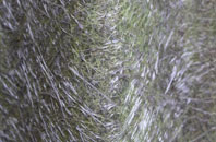 Portash fibreglass roof work